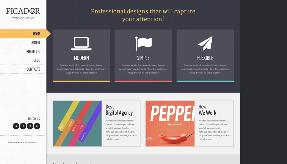 Professional Web Designs WordPress Theme